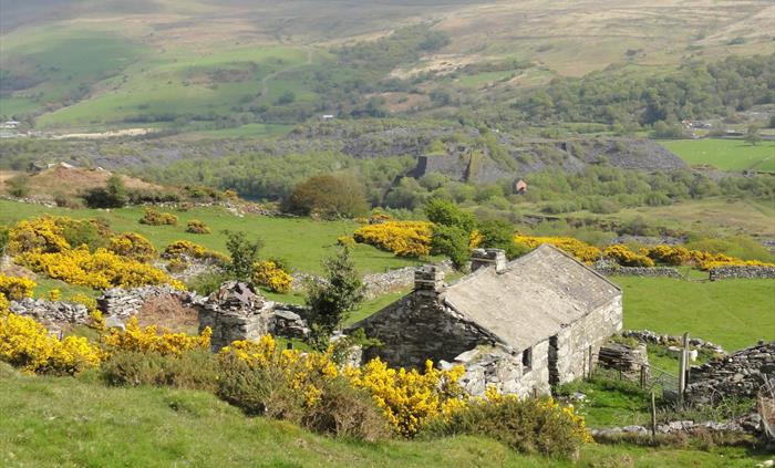 Bwthyn bach - cottage in the gorse